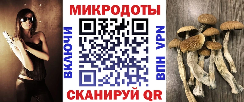 Галлюциногенные грибы Cubensis  даркнет сайт  Кяхта 